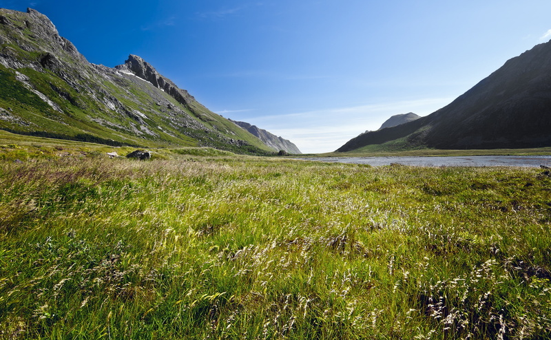tranquil scene, scenics - nature, regionwide, idyllic, day, sky, no people, nussfjord, mountain range, olympus, lofoten, Fjord, 4K, Mountains, flakstadkommune