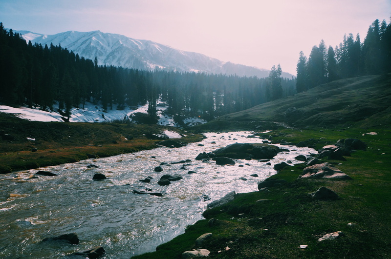 plant, non-urban scene, landscape, outdoors, river, sky, idyllic, no people, land, beauty in nature, cold temperature, trees, tranquil scene, pine tree