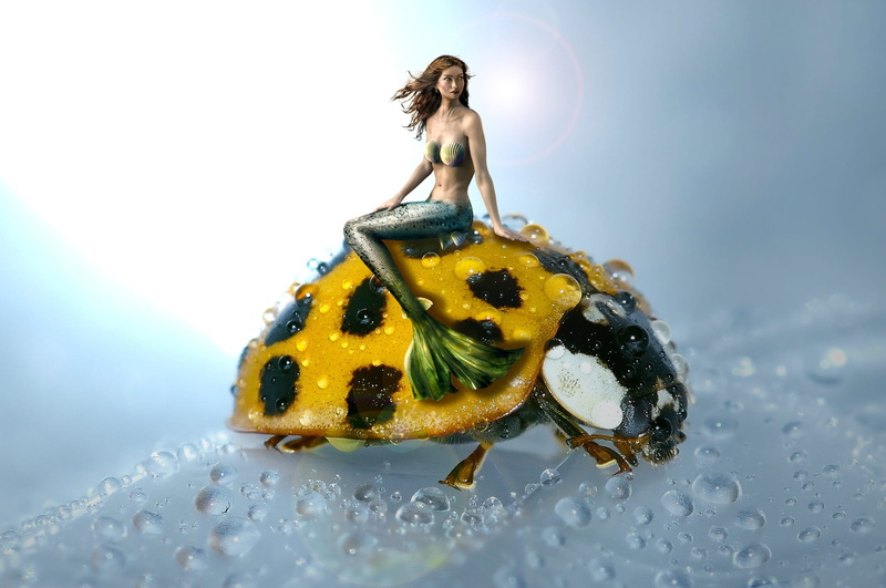 1080P, human representation, outdoors, sweet food, shiny, Ladybug, indoors, selective focus, Water, wealth, mexican, water creature, mystical, luxury