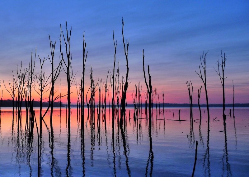 outdoors, new  jersey, black, summer, sunset, arbor, scape, Fantastic, twilight, shore, 1080P, nj, challenge, twigs, monmouth  county, sun  rise, body of water