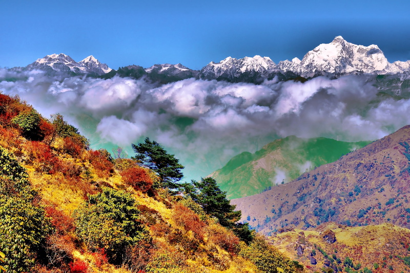 snowcapped mountain, tranquility, change, nature, backgrounds, morning, snow, beauty In Nature, season, non-Urban Scene, sky, plant, multi Colored, mountain