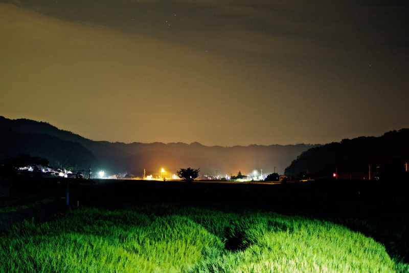tranquil scene, rural scene, plant, mountain, crop, no people, agriculture, outdoors, environment, scenics - nature, illuminated, japan, 4K, growth, landscape