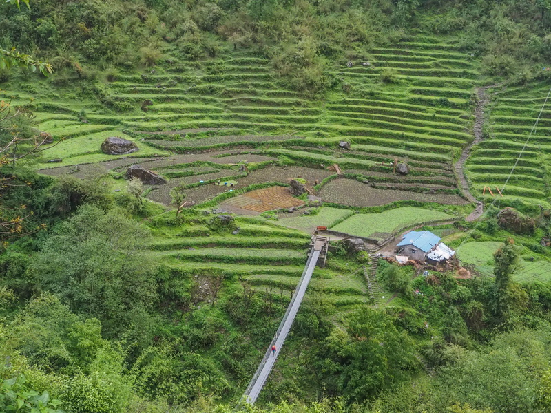 scenics - nature, no people, animal, countryside, daytime, environment, plantation, high angle view, annapurna circuit, landscape, rural, aerial view, growth