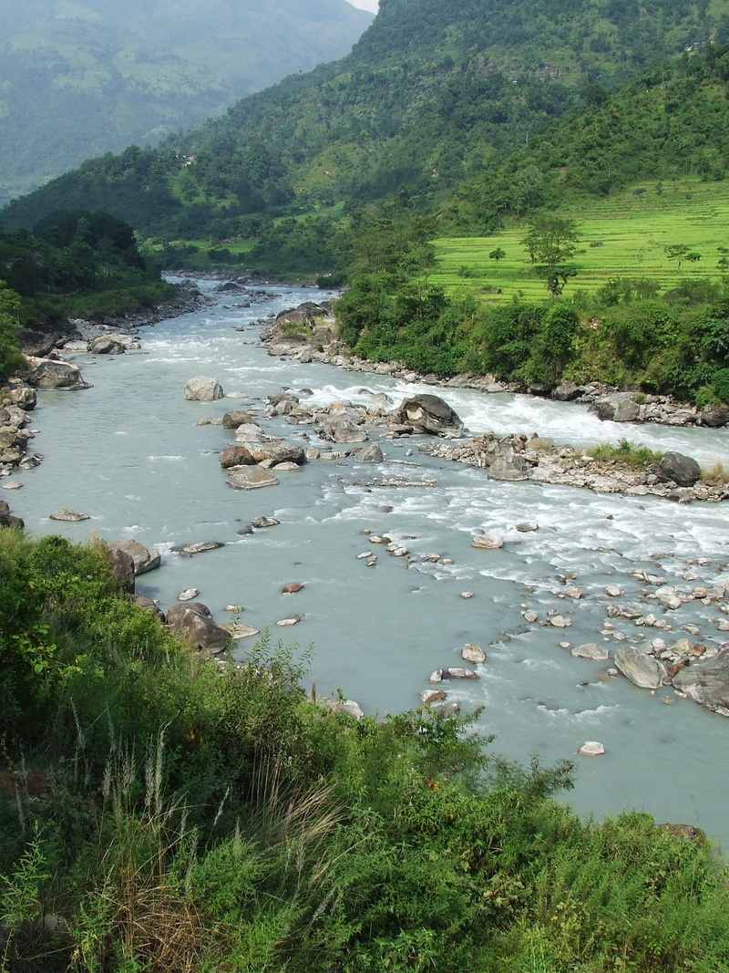 land, stream, growth, rocks, forest, Trekking, fields, green, river flow, water, tranquil scene, Annapurna, landscape, plant, flowing, green Color, River