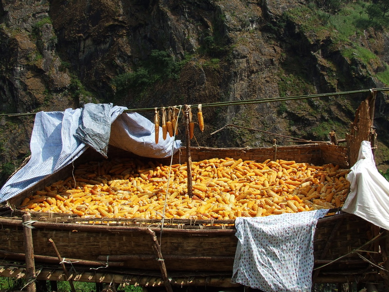nature, food, land, outdoors, solid, large group of objects, mountain, Drying, tree, plant, Annapurna, food and drink, one man only, 2K, rock - object