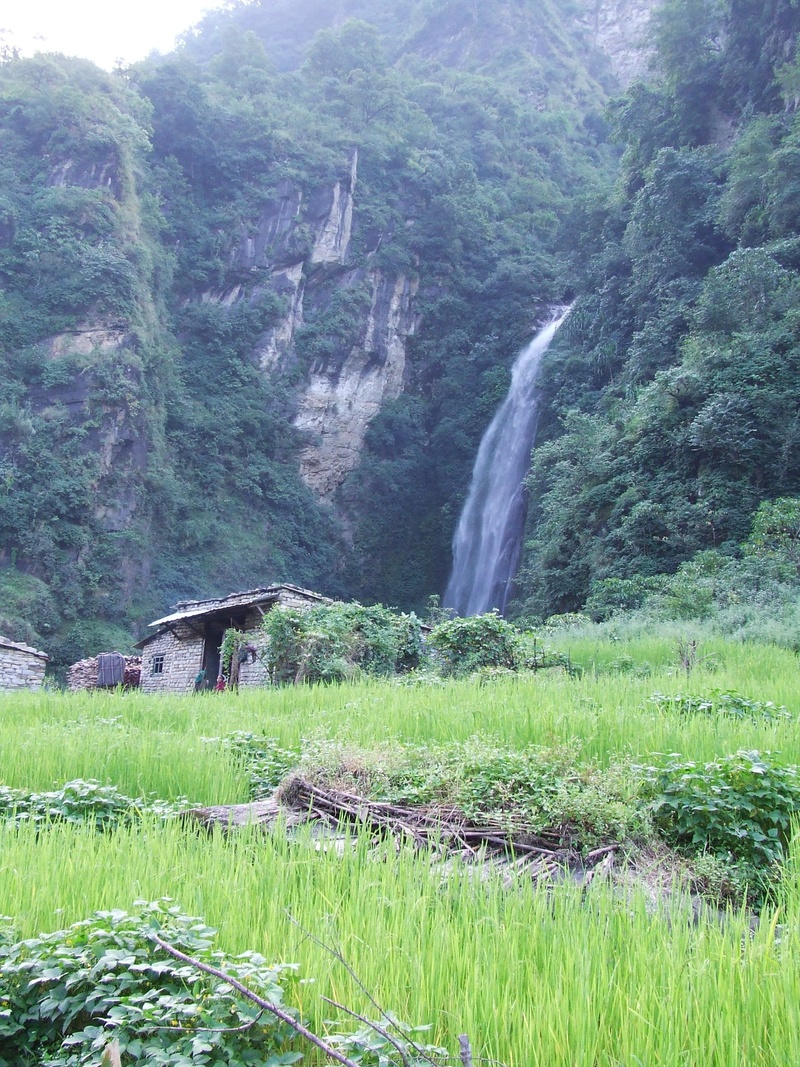 flowing water, scenics - nature, mountains, nepal, nature, long exposure, plant, f, grass, forest, 2K, beauty in nature, green color, motion, rural Scene