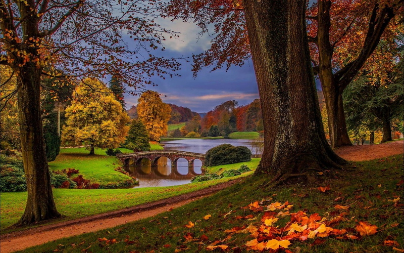 land, landscape, bridge, nature, trees, field, change, outdoors, tree trunk, 1080P, river, beauty in nature, sky, autumn, no people, non-urban scene, plant