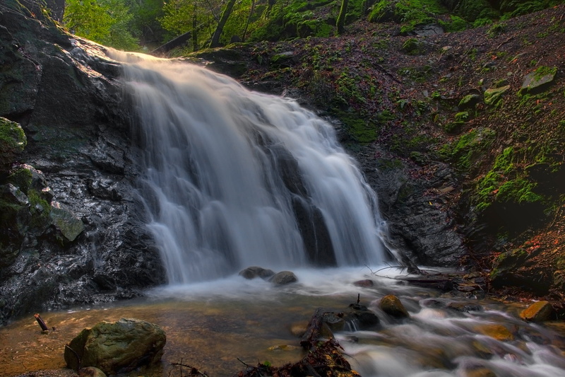 leaf, freshness, long exposure, eos, colorful, waterfalls, waterfall, creek, outdoors, photo, photography, tree, panning, creative  commons, usa, beauty In Nature