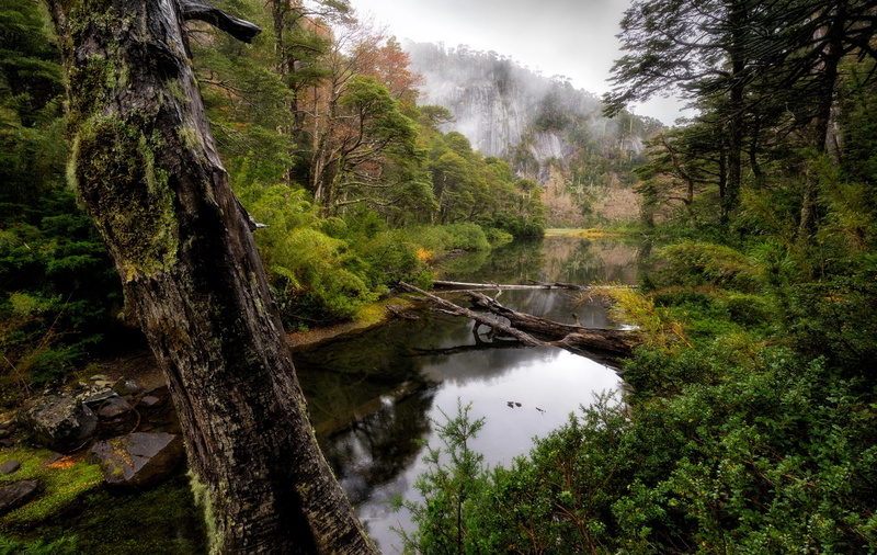 Huerquehue National Park, 1080P, Chile, Araucania