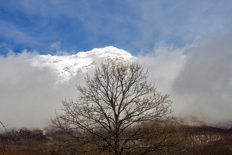 nature, laquila, outdoors, snowcapped mountain, mountain peak, gran sasso, cold temperature, plant, beauty in nature, fog, winter landscape, no people