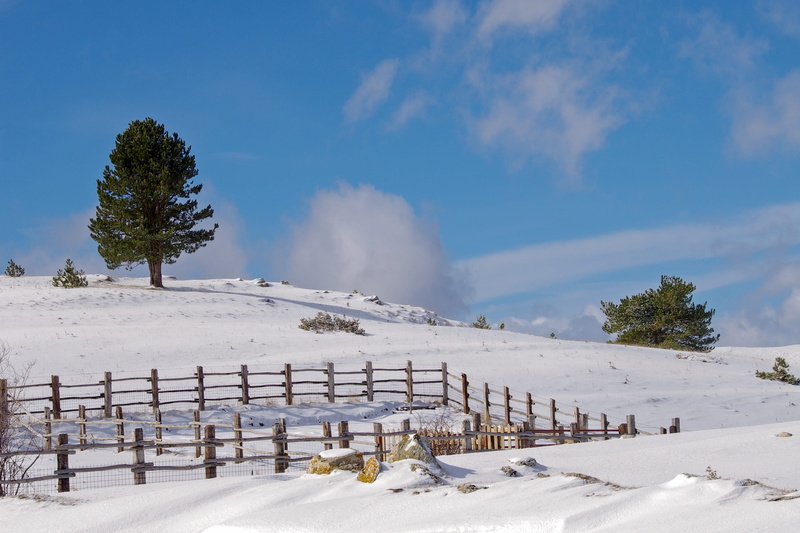 winter landscape, winter, outdoors, sky, fence, 2K, the apennines, abruzzo, scenics - nature, white color, snowcapped mountain, tree, plant, cold temperature