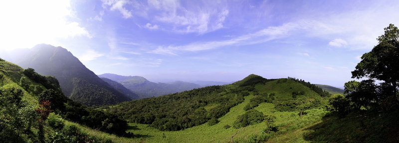 riverstan, panoramic, mountain peak, tree, ceylon, sky, mountain range, coniferous tree, forest, cloud - sky, green, tranquility, scenics - nature, no people