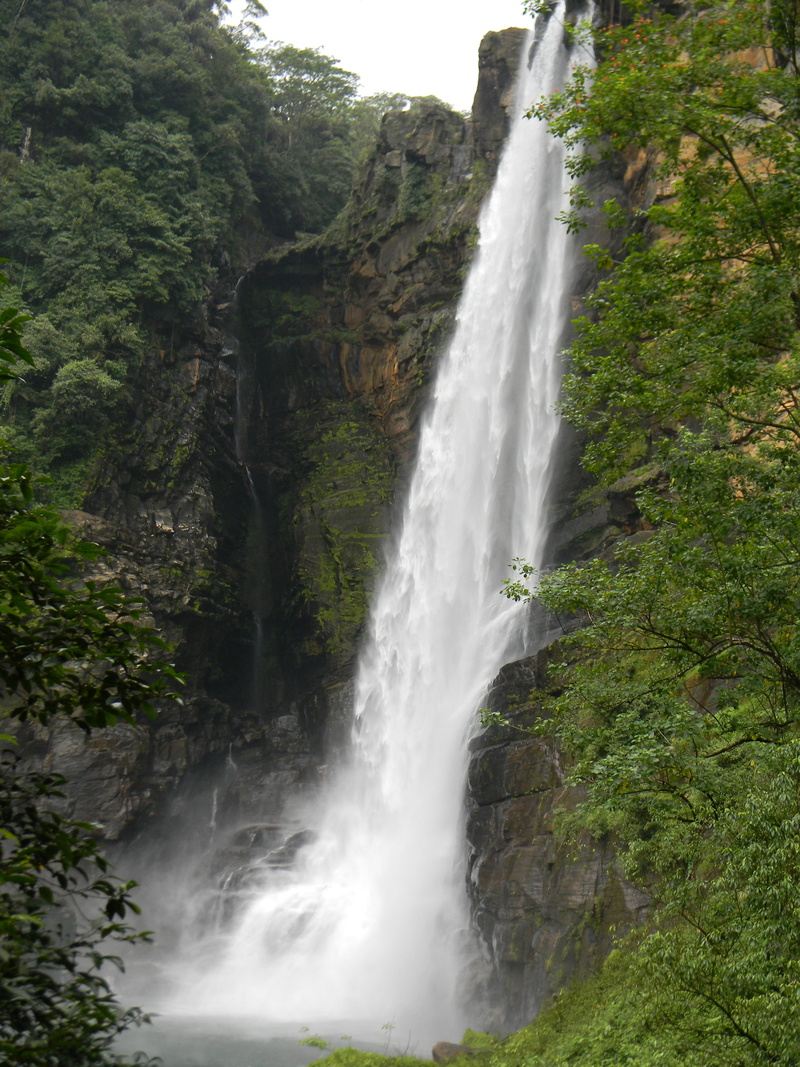 solid, sri lanka, motion, tropical, flowing water, outdoors, formation, tourism, rock, travel, forest, flowing, long exposure, 4K, nature, land, tree