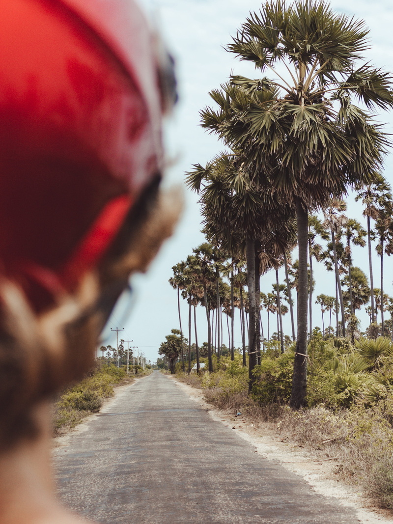 transportation, highway, nature, helmet, road trip, exploring, men, palmyra palm, road, sri lanka, tree, backpacking, sea, summer, tropic, outdoors, travel
