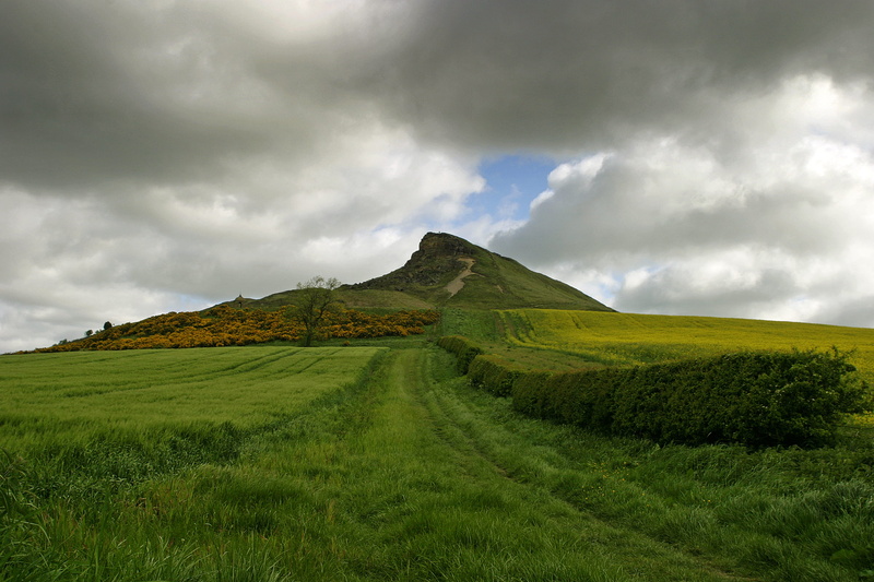land, plant, topping, hill, scenics - nature, environment, 2K, overcast, non-urban scene, roseberry, natural, north yorkshire, sky, outdoors, nature, beauty in nature