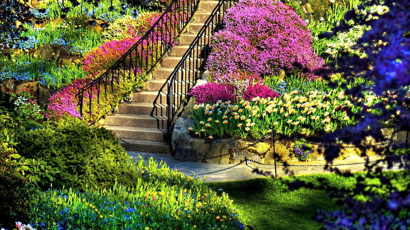 colors, nature and landscapes, flowers, spring, little, steps, garden, plants, 1080P, park