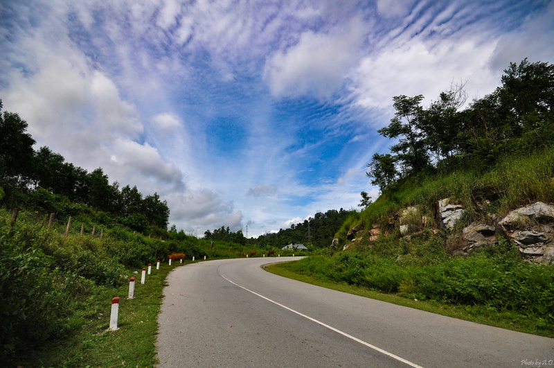 green, dividing line, transportation, symbol, dalat, cloud - sky, nature, the way forward, sign, sky, plant, bule, outdoors, no people, tree, 2K, vietnam