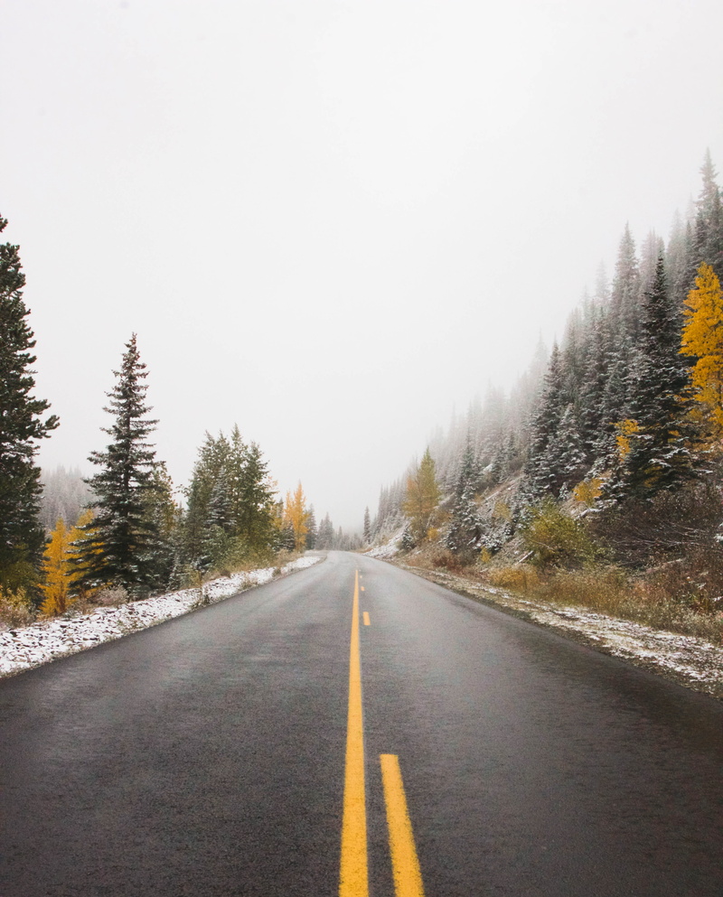 no people, diminishing perspective, transportation, lake, hike, beauty in nature, cold temperature, forest, tranquil scene, vanishing point, dividing line