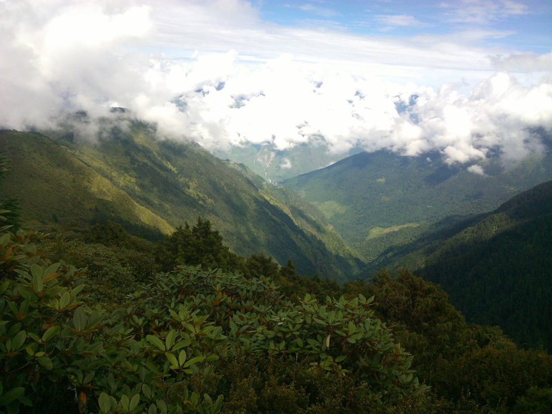 landscape, land, mountain, forest, sky, green color, growth, cloud - sky, beauty in nature, tranquil scene, environment, no people, range, plant, 2K, mountain range