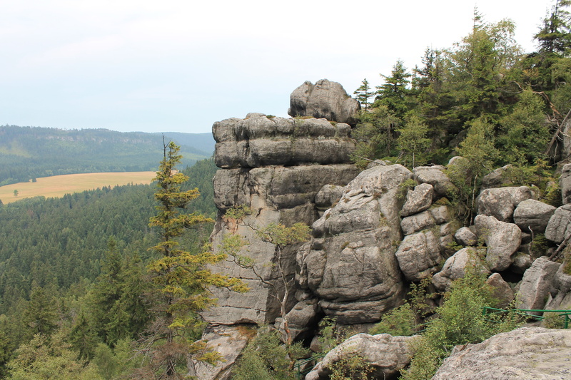 plant, Erratic, day, coniferous tree, j, tranquil scene, non-urban scene, solid, 4K, erratic rocks, kudowa, environment, no people, green color, eroded