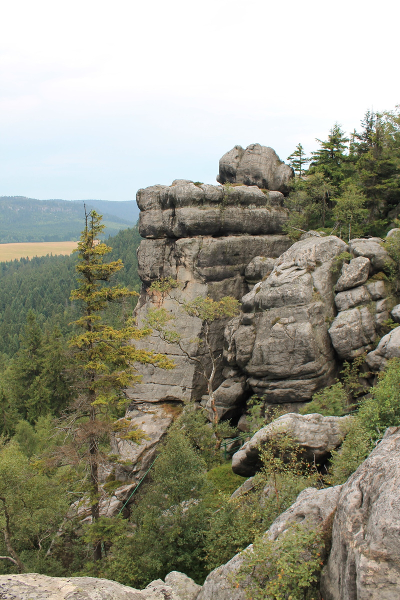 outdoors, table mountains, rock formation, rock, land, growth, landscape, tree, plant, rock - object, beauty in nature, solid, eroded, mountain, sky, day