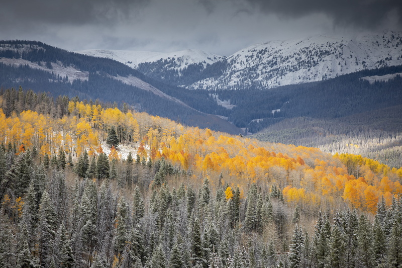 fall foliage, sunlight, scenics, woodland, canada, rocky mountain, moutain, pine Tree, back country, blue, mountain Range, 5K, outdoors, cloud - Sky, tranquil Scene