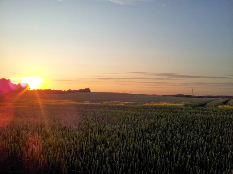 field, sun, 2K, rising sun, nature, rising