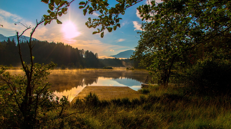 Austria, cloud - sky, idyllic, tranquil scene, tranquility, no people, lake, plant, carinthia, growth, 5K, tree, Europe, sky, green, rise, beauty in nature