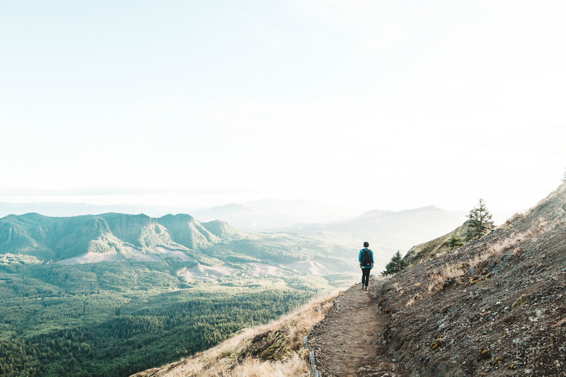 outdoors, forest, person, landscape, travel, adventure, valley, trekking, environment, man, walk, nature, activity, one person, non-urban scene, explore