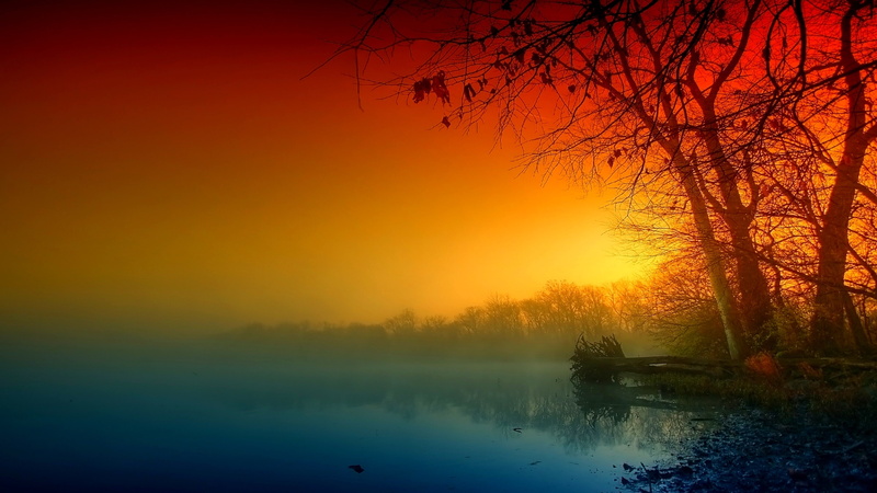 dusk, mist, calm, coloroful, sunset, afterglow, evening, 4K, autumn, tree