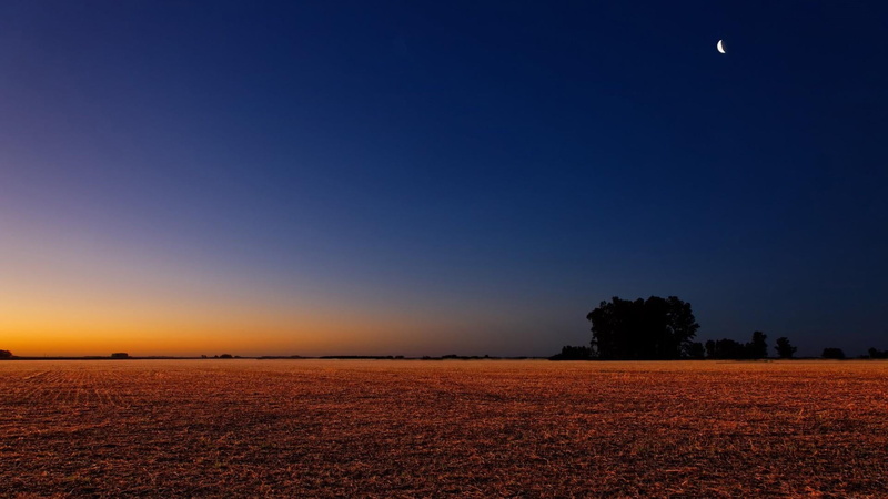 dusk, sky, land, horizon, idyllic, scenics - nature, afterglow, plant, morning, romantic sky, atmosphere, environment, sunset, field, sunrise, beauty in nature