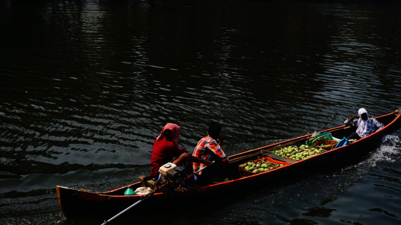 selling, kayak, kerela, watercraft, outrigger, waterways, travel, oar, scene, river, fruits, rowing, scenery, oars, rowboat, waterfront, leisure activity