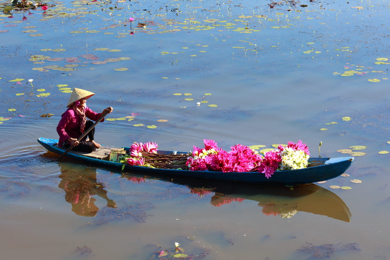 water, recreation, waterfront, canoe, flower, person, one person, freshness, day, flowering plant, real people, beauty in nature, outdoors, lake, occupation