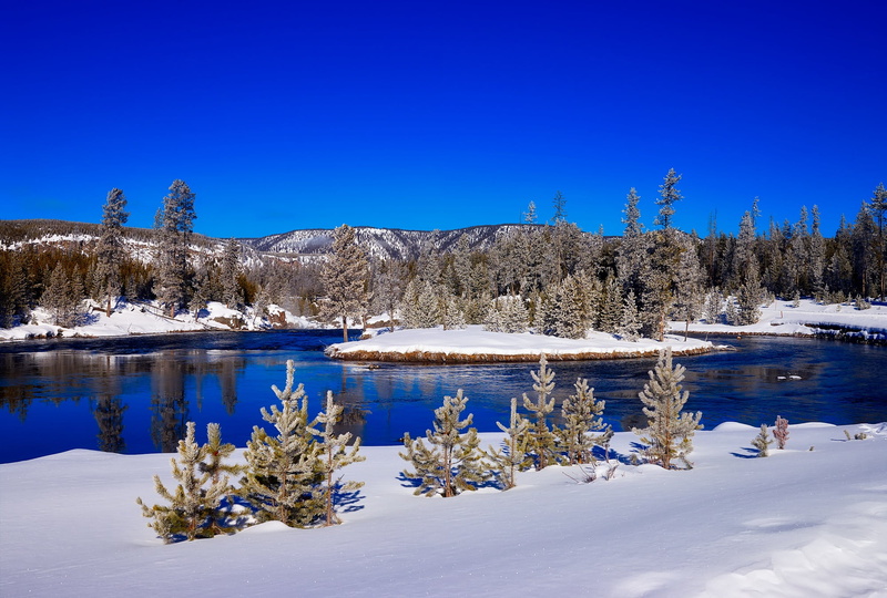 meadow, outdoors, landscape, tree, national park, water, woodland, ice, tourism, nature, wilderness, tranquil scene, tranquility, snowcapped mountain, pine tree