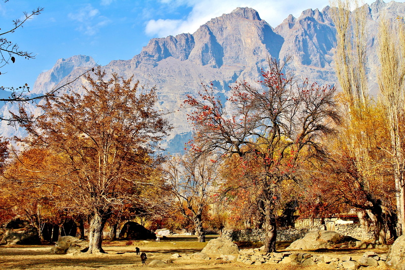 nature, outdoors, pakistan, hike, mountain range, plant, skardu, sunlight, hiking, air, tree, tranquility, beauty in nature, scenics - nature, blue, non-urban scene