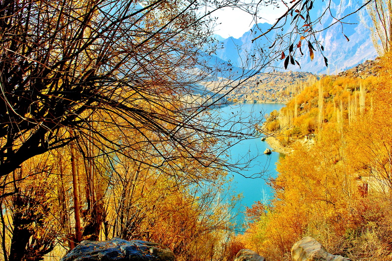 travel, non-urban scene, tranquility, Pakistan, beauty In Nature, tranquil Scene, vibrant Color, forest, branch, park - Man Made Space, karakorum, rock