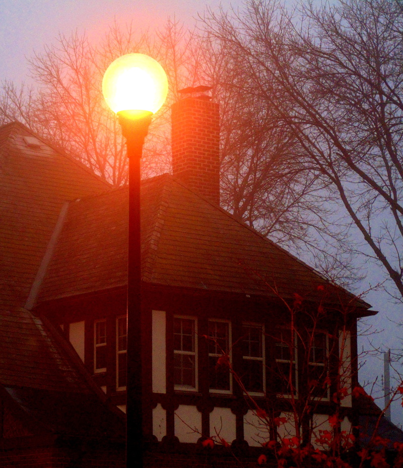 plant, saint paul, orange, 4K, sun, building, lamppost, illuminated, orange color, house, lens flare, trees, united states, lightpost, lighting equipment
