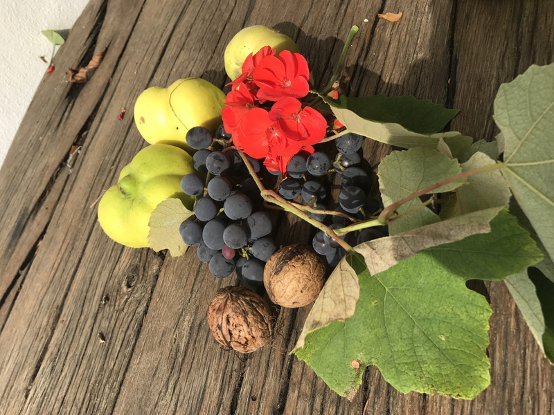 harvest, still life, quince, day, freshness, high angle view, inflorescence, fragility, flower, nuts, vine, beauty in nature, plant, table, wood - material