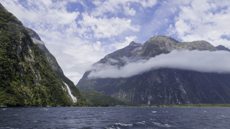 tranquil scene, plant, 5K, no people, milford sound, sound, environment, non-urban scene, day, landscape, lake, fiordland, outdoors, nature, mountain range