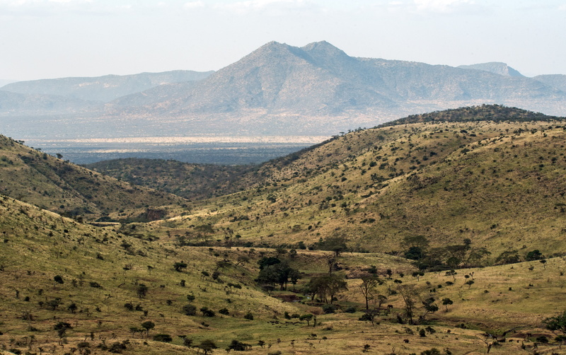 east africa, remote, samburu hills, africa, nature, tree, lewa conservancy, 5K, outdoors, african photo, tranquility, kenya, mountain, green color, land