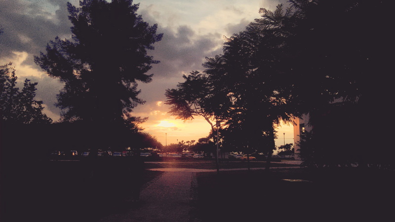 2K, santiago de querétaro, tranquility, nature, street, silhouette, no people, city, cloud - sky, av de monte sacro 4160, growth, mode of transportation