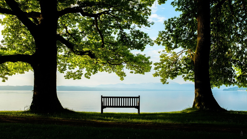 growth, nature, alone, rest, plant, tree trunk, water, seat, absence, far view, photography, trunk, no people, scenics - nature, lake, 1080P, day, sky