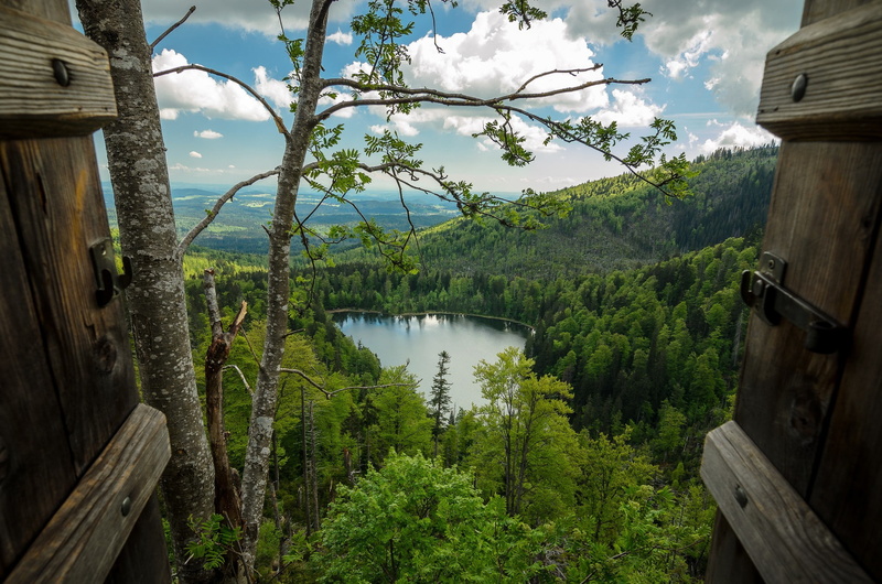 water, landscape, window, clouds, hills, 1080P, leaves, photography, forest, lake, far view, trees