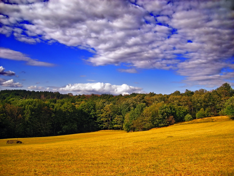 rural Scene, meadow, tree, brown, landscape, hill, stratocumulus, sky, creative commons, Pennsylvania, rural, summer, 2K, altocumulus, Barrett Township
