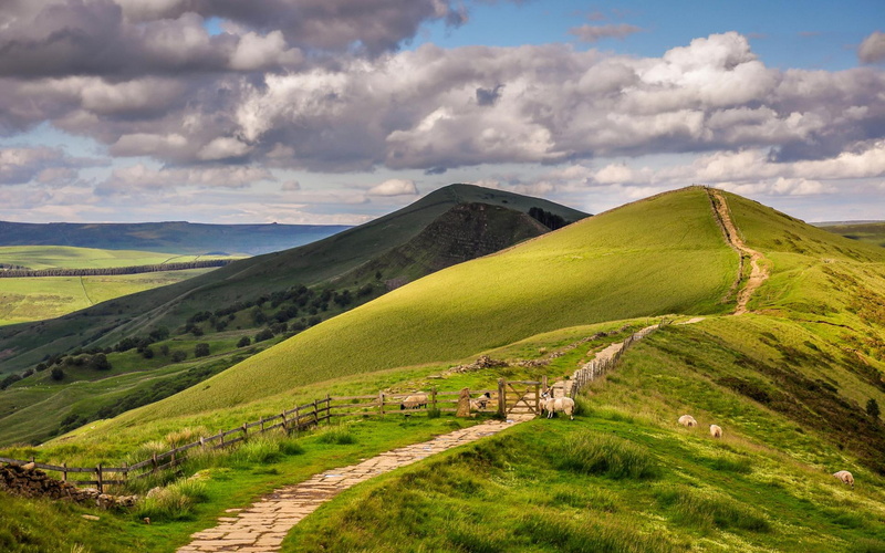 grass, hills, clouds, path, landscapes, android, fence, sky, stratus, sheep, roads, 1080P, animals, hill, scenic, gate, nature