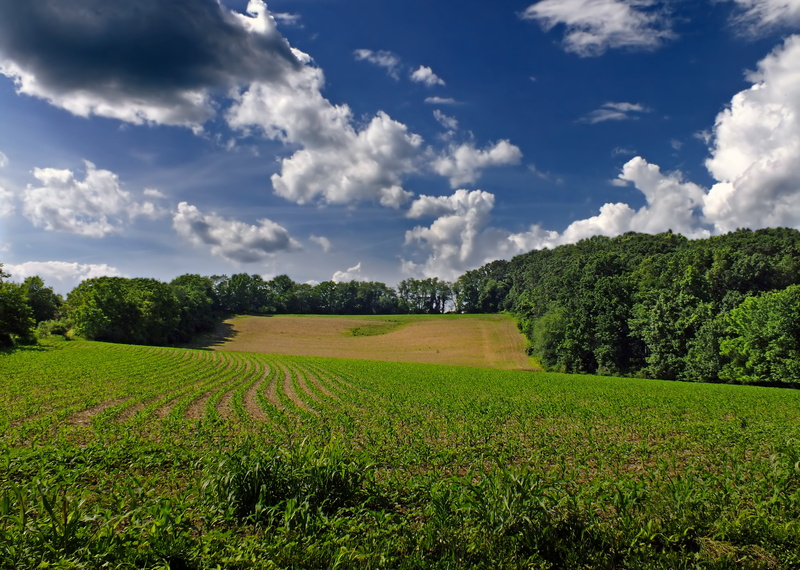 stratus, blue, outdoors, sky, creative commons, summer, season, spring, tree, Pennsylvania, Northampton County, nature, clouds, landscape photography, green Color