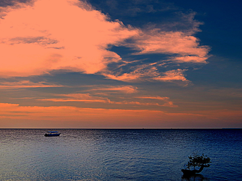 nature, 4K, beach, clouds, sky, dusk, water, daytime, sea, sunset, summer, stratus