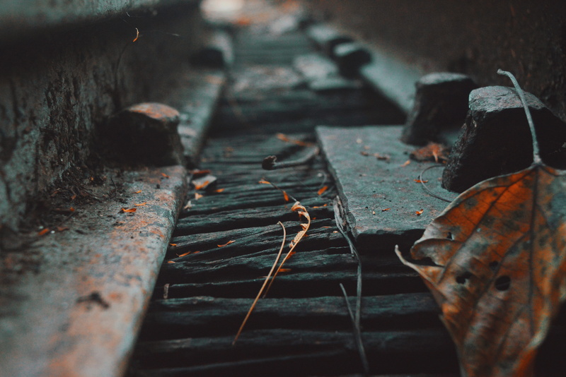 focus on foreground, plant part, darjeeling, autumn, wood, damaged, train, day, decline, metal, nature, outdoors, no people, toytrain, india, bolts, deterioration