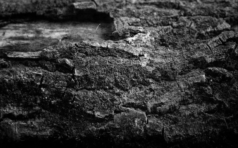 obsolete, day, built structure, rock - Object, black And White, wall, architecture, stone Material, close-up, stones, weathered, rock, selective focus
