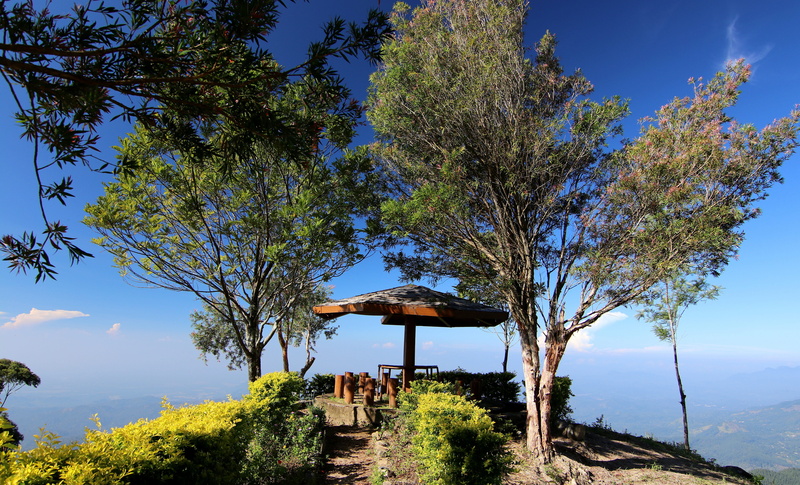 green color, Sri Lanka, built structure, plant, tee, land, blue, scenics, Landscape, sky, tree, shrine, holiday, scenics - nature, scenic, beauty in nature